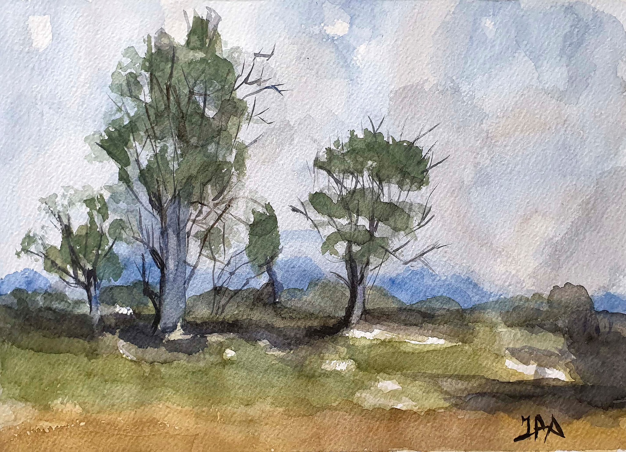 Paisaje