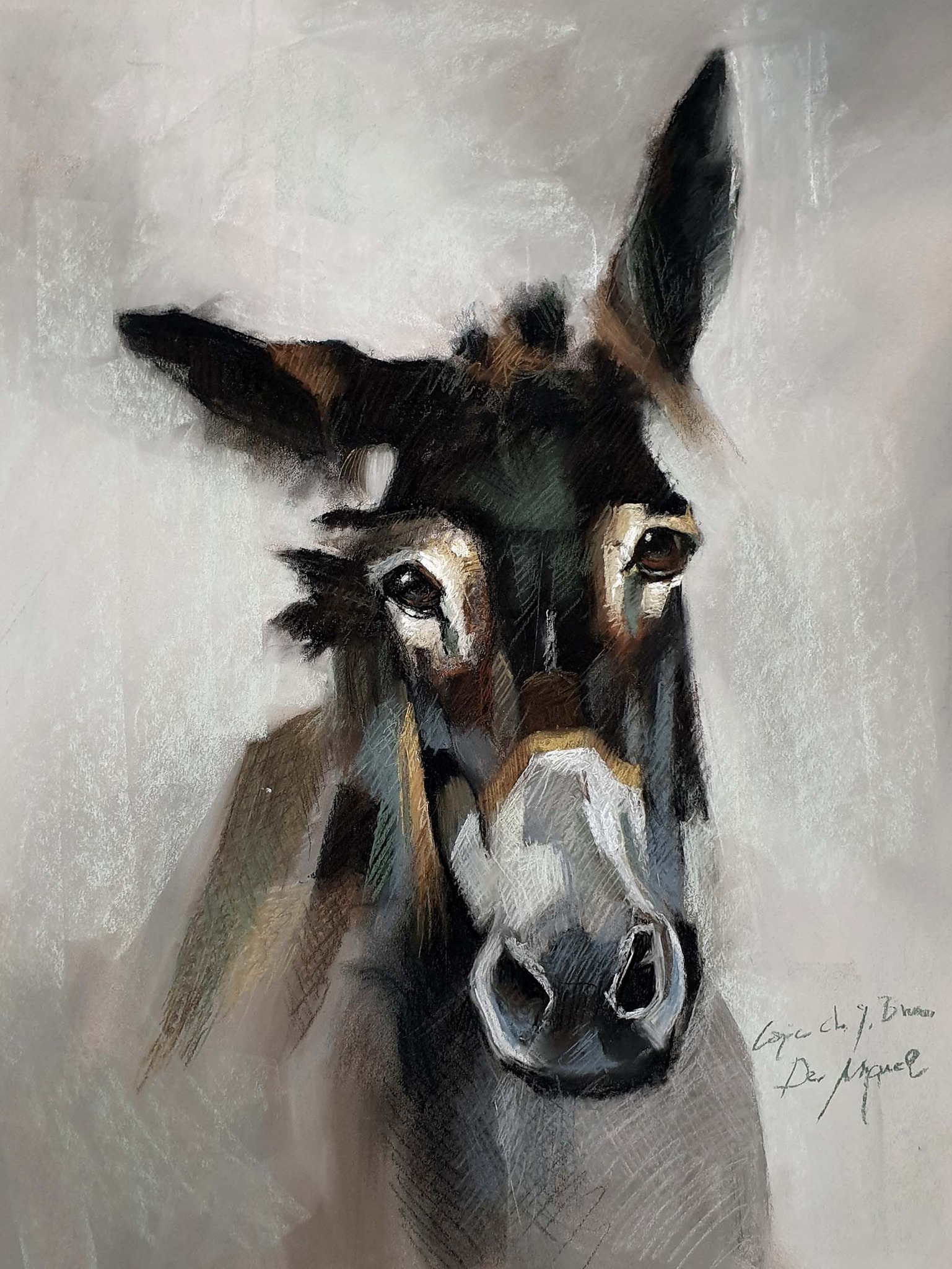 Copia de Julie Brunn