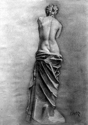 Venus. Apunte del yeso. Carboncillo sobre papel de estraza
